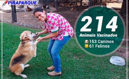Vacinação antirrábica,  Região do Piraparque