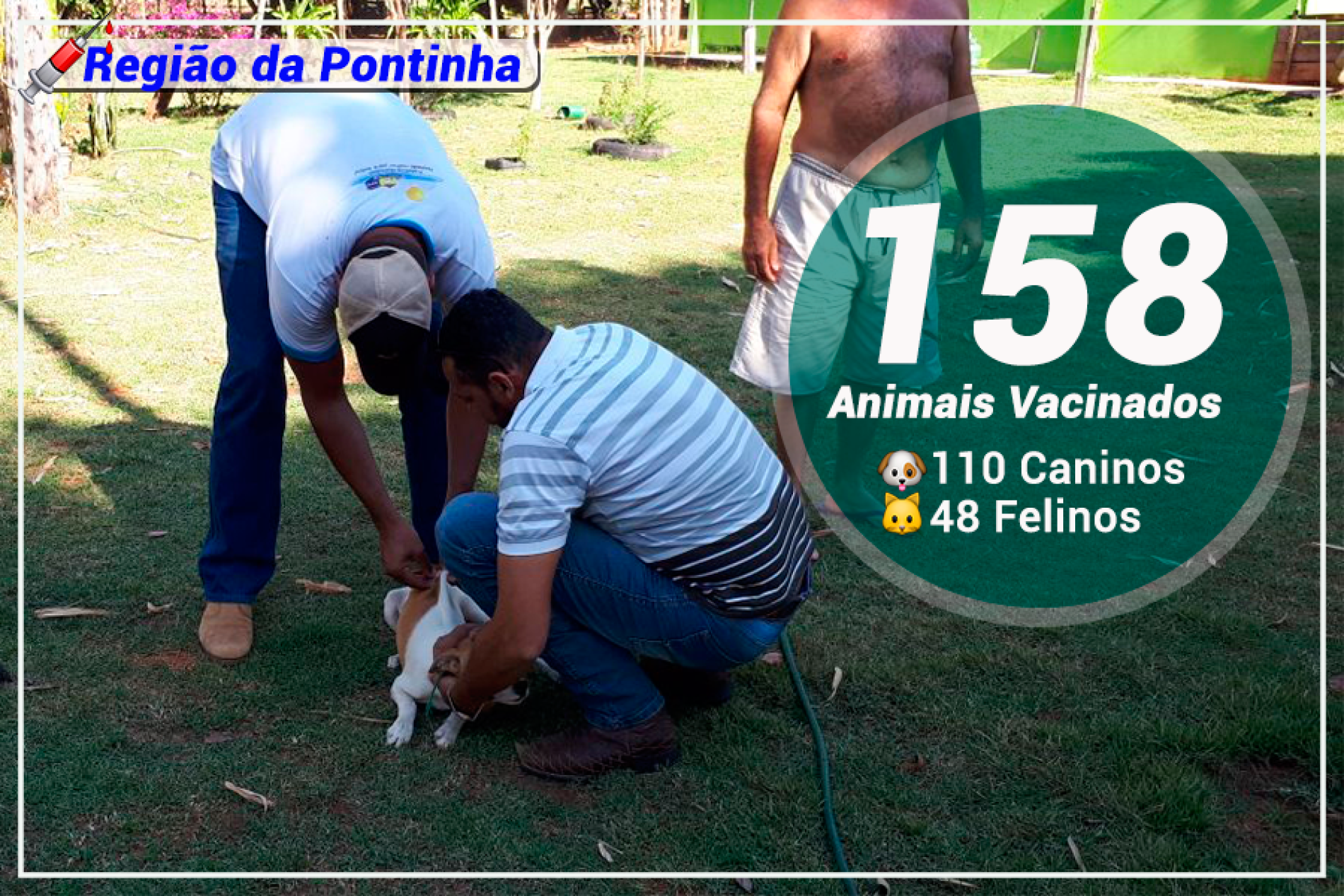Vacinação Antirrábica 
