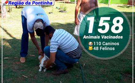 Vacinação Antirrábica 