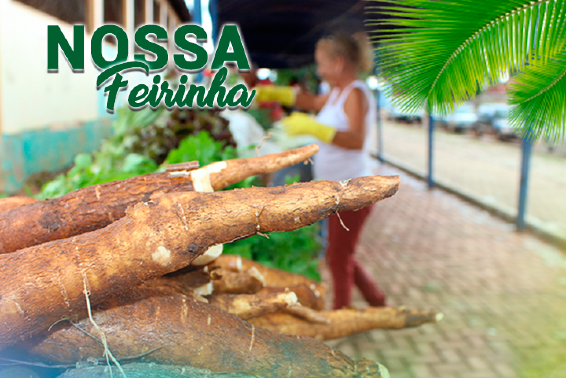 Vídeo mostra os produtos e produtores da nossa feirinha