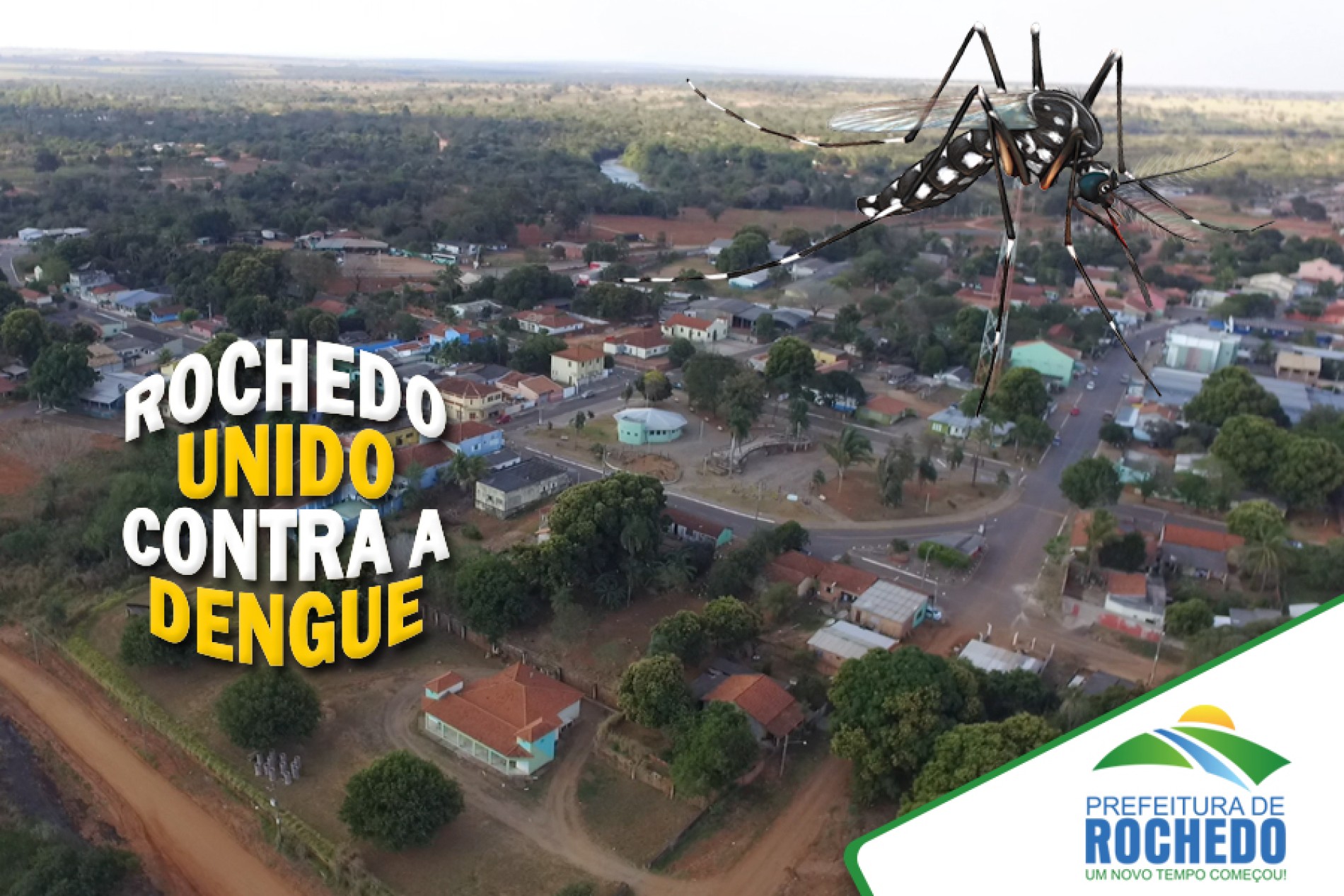 ROCHEDO UNIDO CONTRA A DENGUE