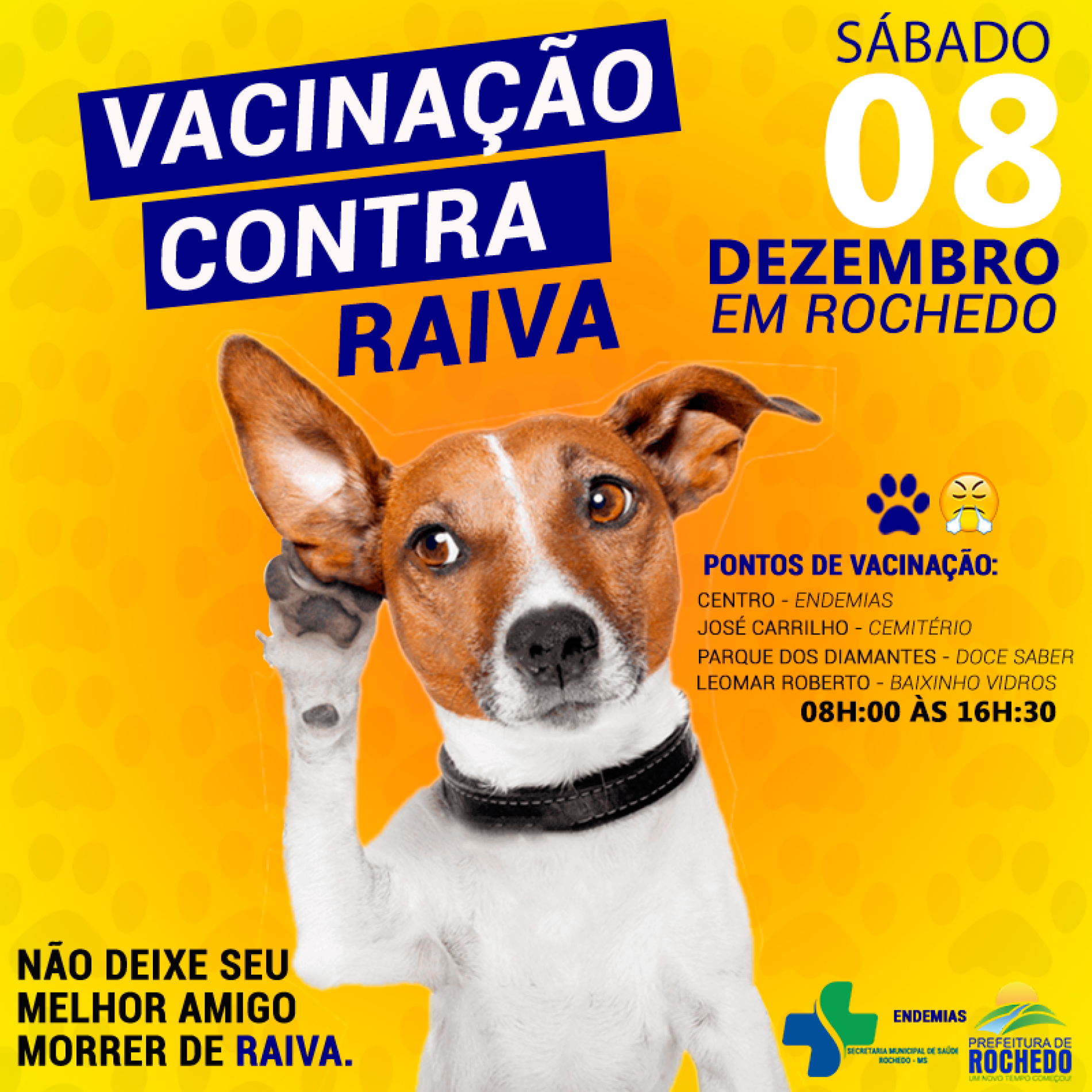 Vacinação contra a raiva 