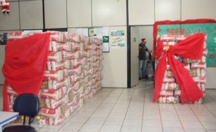 Prefeitura entrega 300 cestas básicas para famílias Rochedenses