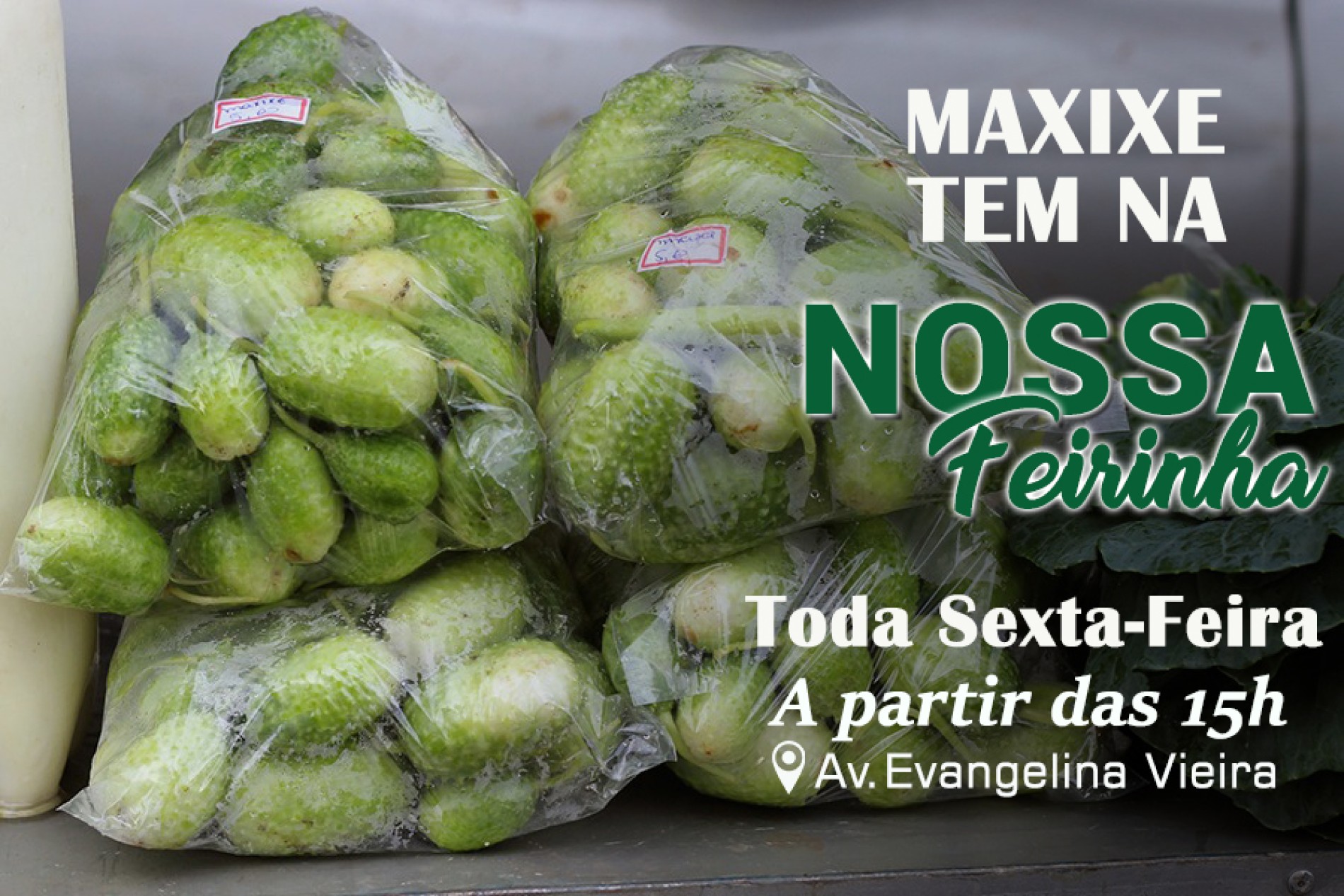 NOSSA FEIRA DE TODA SEXTA-FEIRA