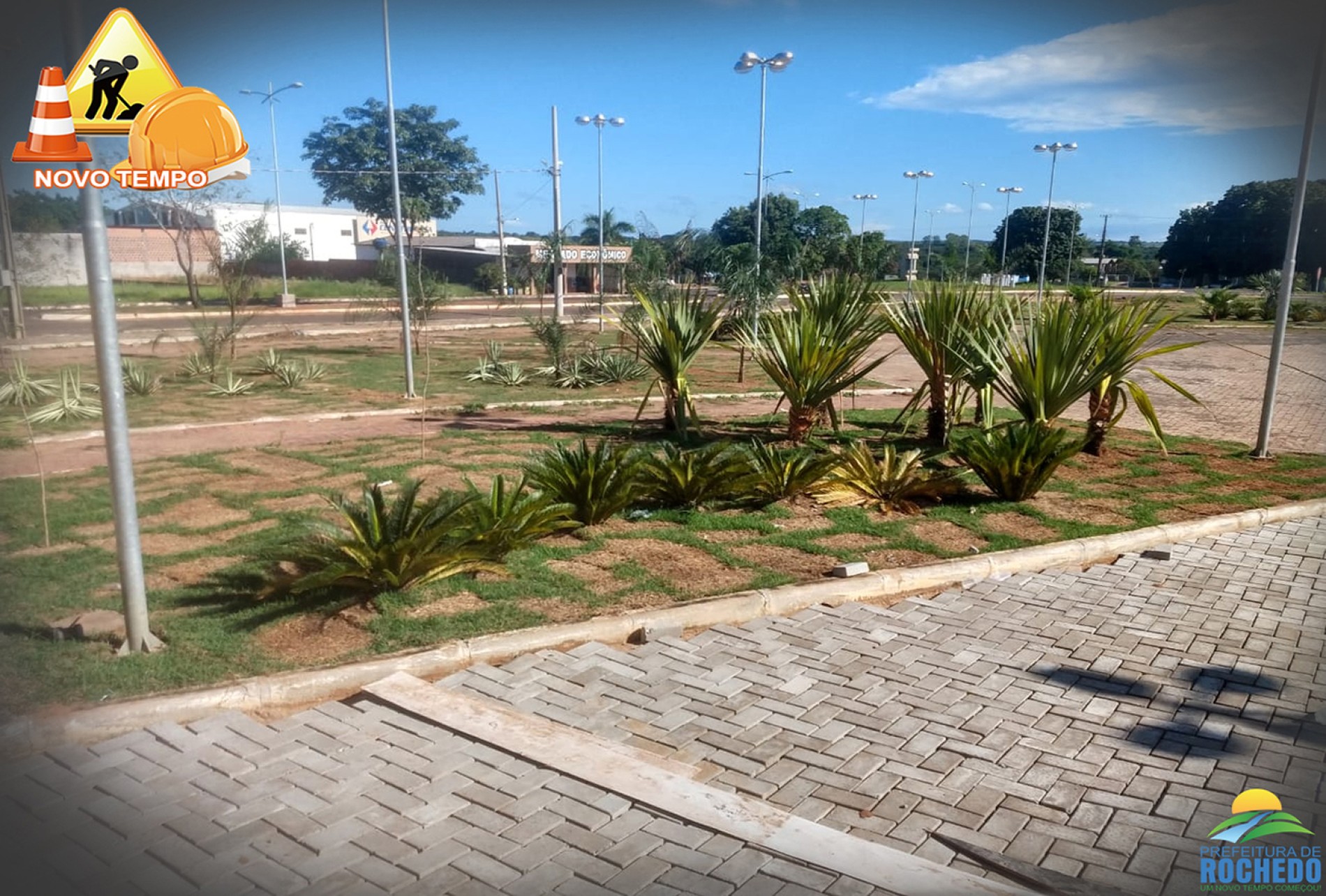 ARBORIZAÇÃO DA PRAÇA DA ENTRADA DA CIDADE