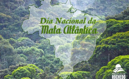 Dia Nacional da Mata Atlântica