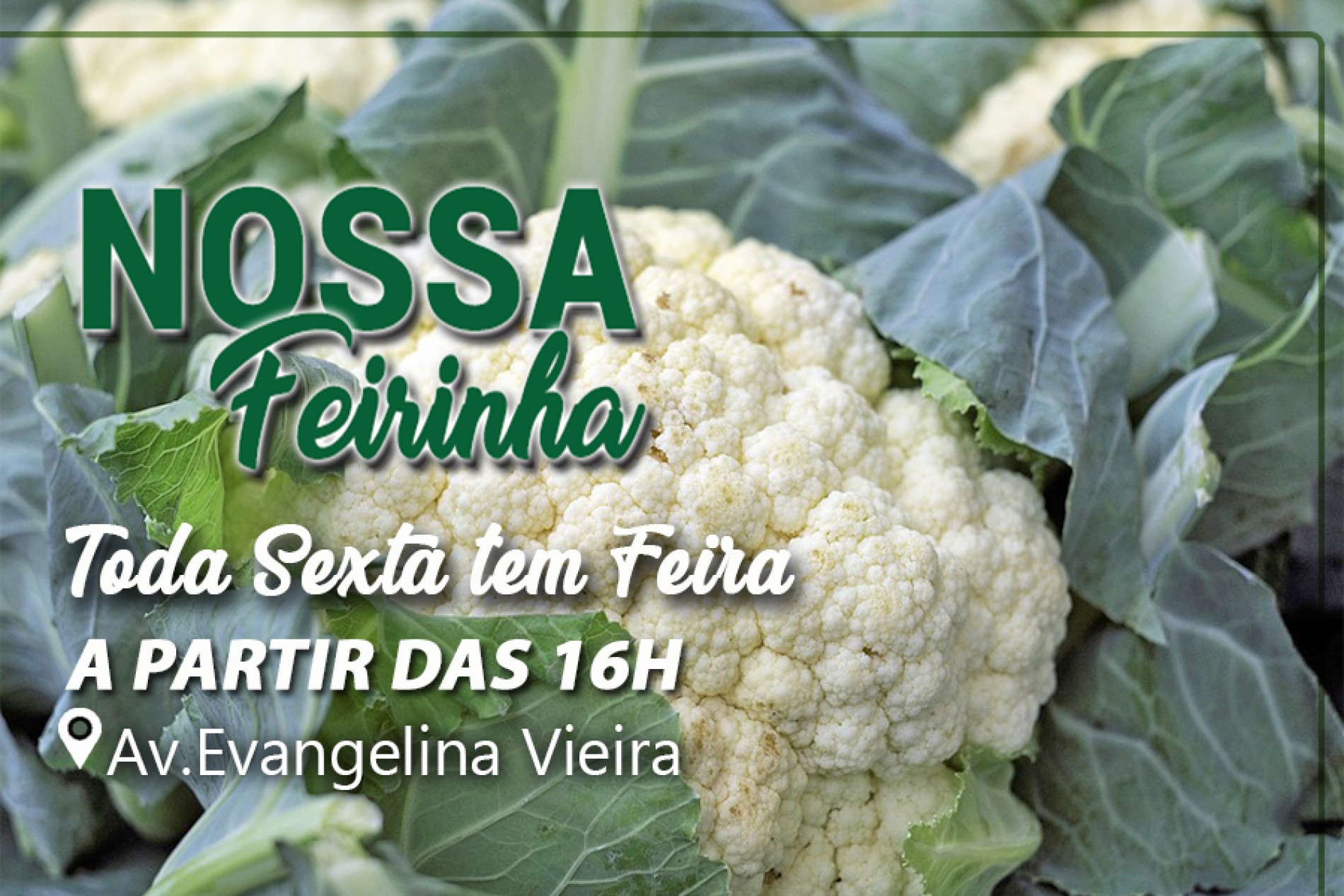 Em nossa Feirinha...