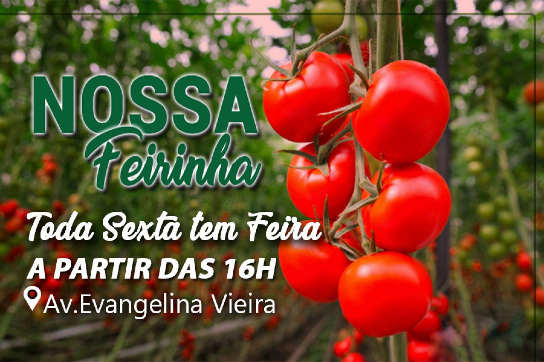 Na Feirinha tem...
