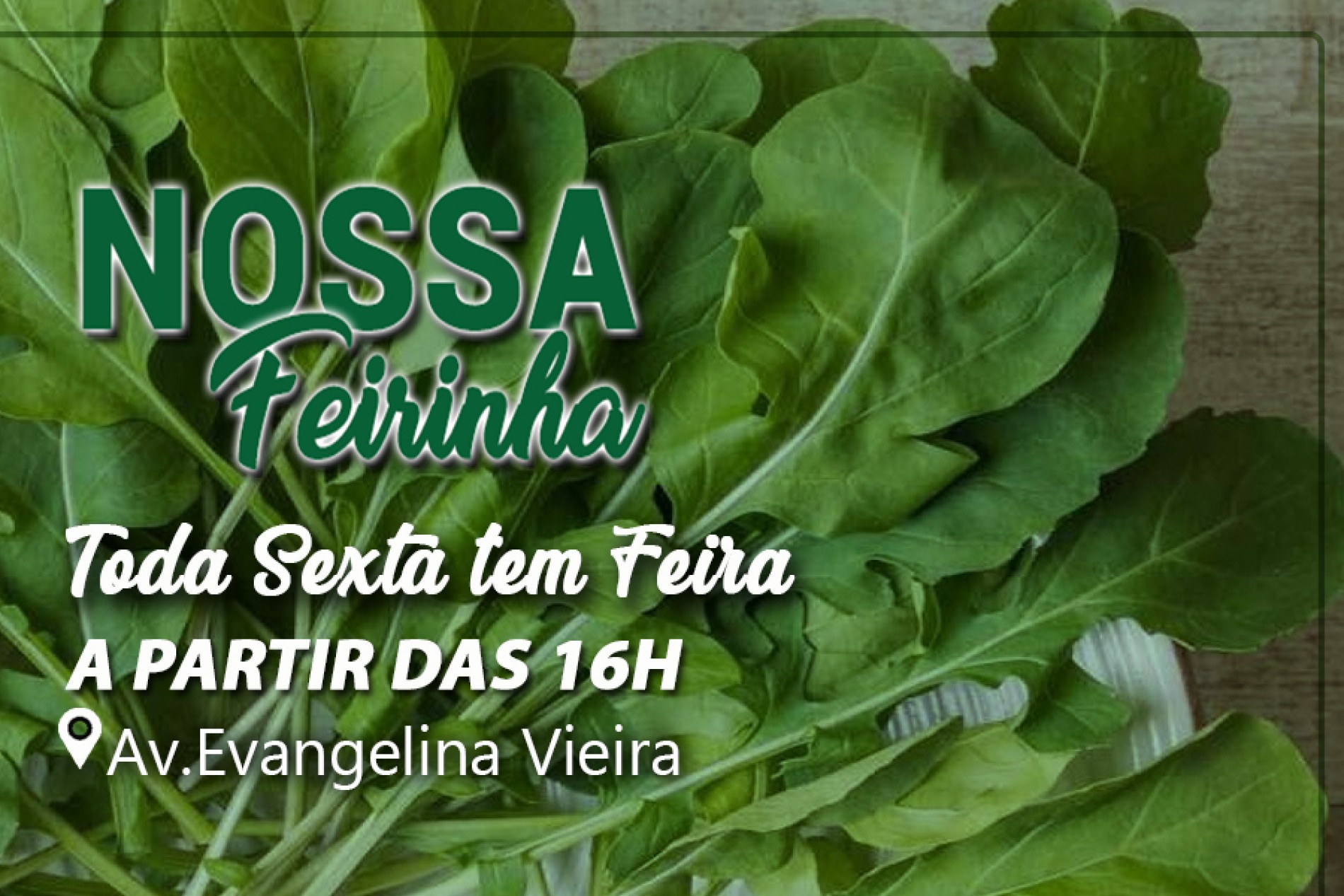 Em Nossa Feirinha você encontra...