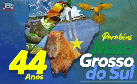 11 DE OUTUBRO - DIVISÃO DO ESTADO